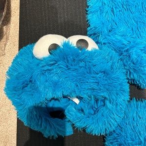 Cookie Monster costume